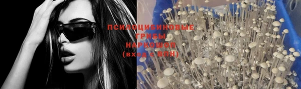 крисы Куйбышев