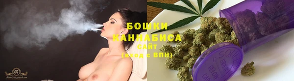 крисы Куйбышев