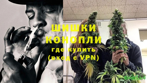 крисы Куйбышев