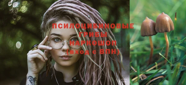 крисы Куйбышев